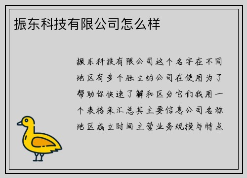 振东科技有限公司怎么样